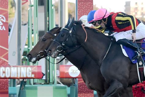 【有馬記念】シャフリヤール大健闘2着も「やっぱ16番枠がなぁ」シ烈な叩き合いハナ差及ばず東スポ競馬 Goo ニュース