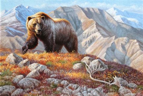 Tundra Roamer 24 X 32 Oila Big Griz Tops A Ridge Near Denali