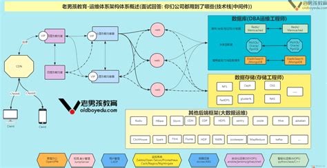 【elastic Elk Stack 实战教程】01、elastic Stack 概述elk Stack Csdn博客