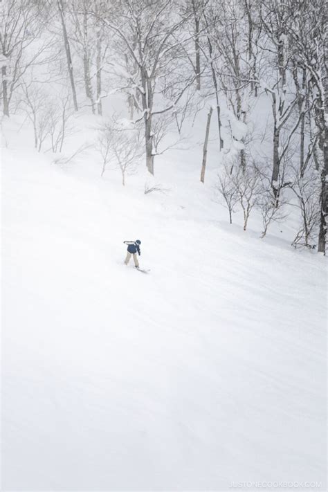 Must Try Winter Activities In Niseko Japan • Just One Cookbook