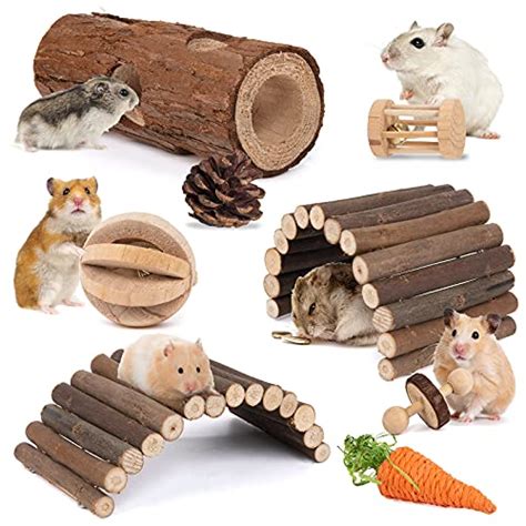 I Tested These Must-Have Hamster Accessories for Cage Perfection - Here ...