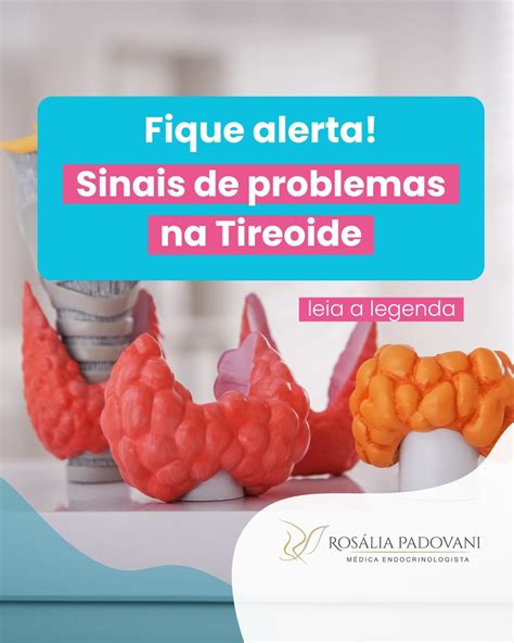 Fique alerta Sinais de problemas na Tireoide Dra Rosália Padovani