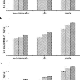 Cd Concentration Mean Sd Mg Kg Dry Weight Of Different Tissues