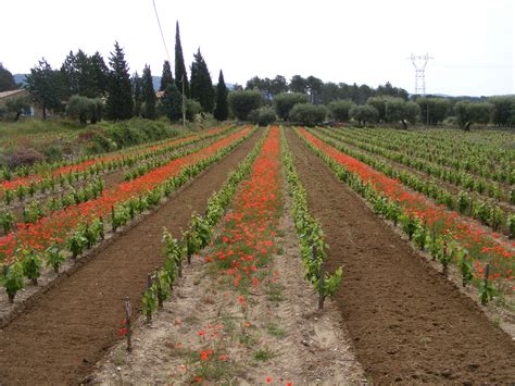 Bastide De La Ciselette Chemins Des Parcs