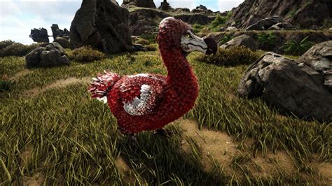 Alpha Dodo Official Ark Survival Evolved Wiki