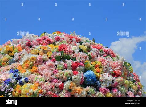 Colourful Flower Bed Background Stock Photo Alamy