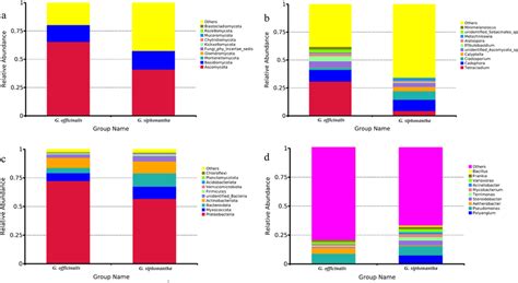 Relative Abundances Of The Endophytic Fungi At The Phylum Level A