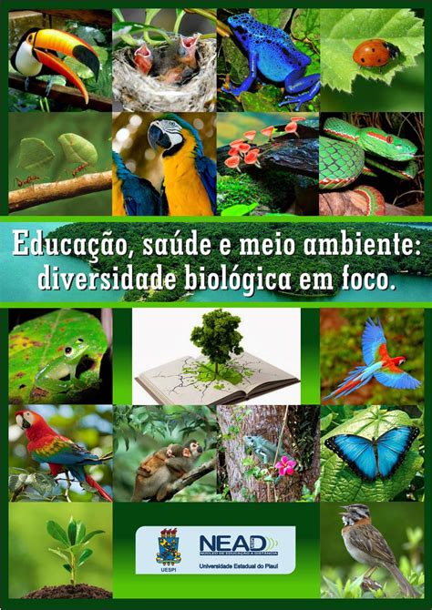 Plano De Aula Sobre Biodiversidade Para Ensino Fundamental Hot Sex Picture