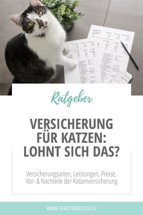 Wie Sinnvoll Ist Eine Versicherung Für Katzen Ratgeber