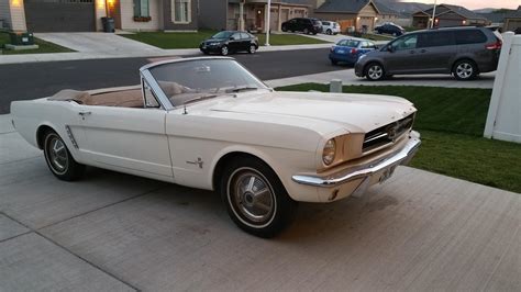 64 1/2 Mustang Convertible got it when I was 15 in 2001 : classiccars