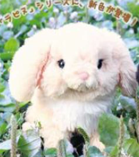 Plush Doll Lapinou Holland Lop Rabbit Beige