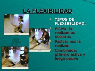 LA FLEXIBILIDAD PPT