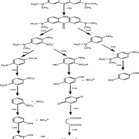 Pdf Photocatalytic Oxidation Degradation Mechanism Study Of Methylene