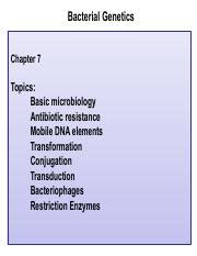 Understanding Bacterial Genetics And Microbiology Techniques For