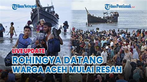 Heboh Soal Pengungsi Rohingya Aceh Ini Kata Pakar Hukum Mereka