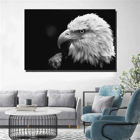 Close Up American Bald Eagle Wall Art Canvas Daymira Store Daymira