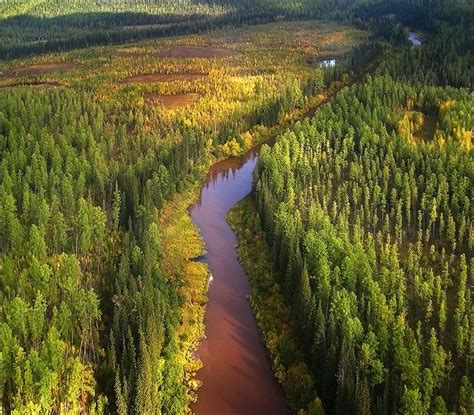 9 best images about Taiga on Pinterest | Official trailer, Hunters and ...