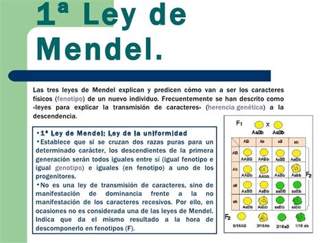 LEYES DE MENDEL