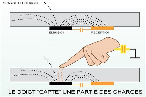 Comment Fonctionnent Les Crans Tactiles Multipoints