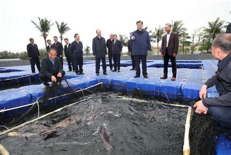 Xi Jinping Bekr Ftigt Auf Inspektionsreise In Guangdong Umfassende