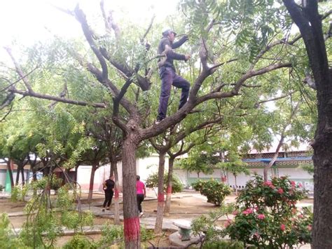 Municipio Cabimas Alcald A De Cabimas Realiza Trabajos De