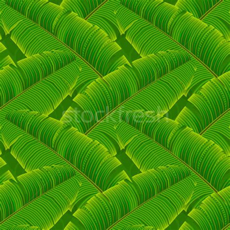 Banana Leaf Pattern Vector At Vectorified Collection Of Banana