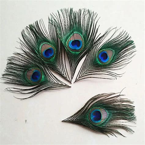 Natural Peacock Feather Eyes 8 12cm Lenght 10pcs Lot Wholesale Feather