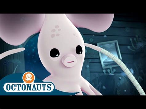 Octonauts Long Armed Squid And The Fiddler Crabs Cartoons For Kids