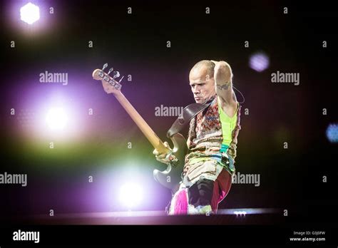 Flea Of The American Funk Rock Band Red Hot Chili Peppers Pictured On Stage As He Performs Live