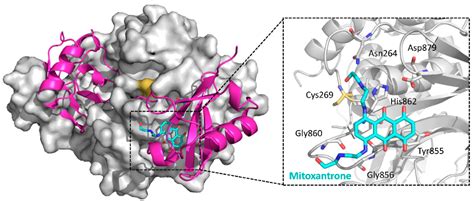 Advances In The Development Ubiquitin Specific Peptidase Usp Inhibitors