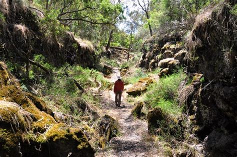 Mount Eccles Budj Bim Dec 10 F Strolling Through A Col Flickr