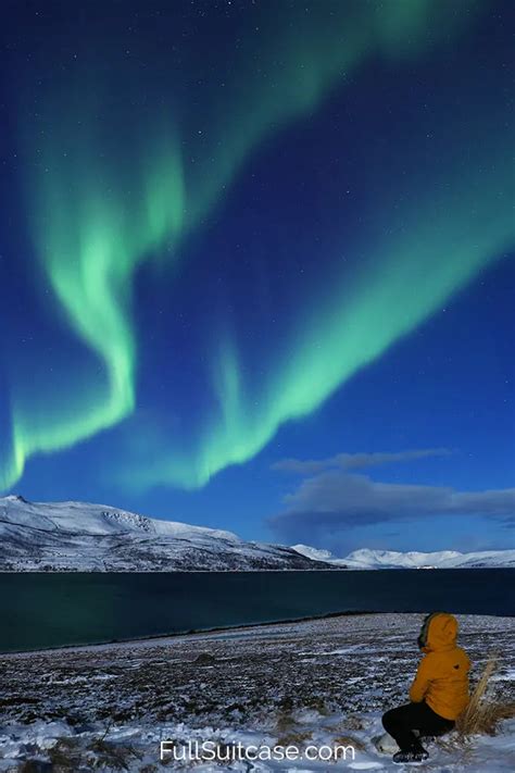 Northern Lights Tromso June Shelly Lighting