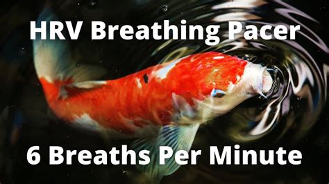 6 Breaths Per Minute Hrv Breathing Pacer For Coherent Breathing 5 5