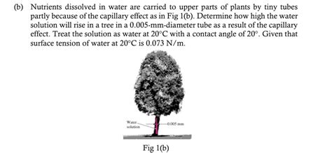 Solved B Nutrients Dissolved In Water Are Carried To Upper