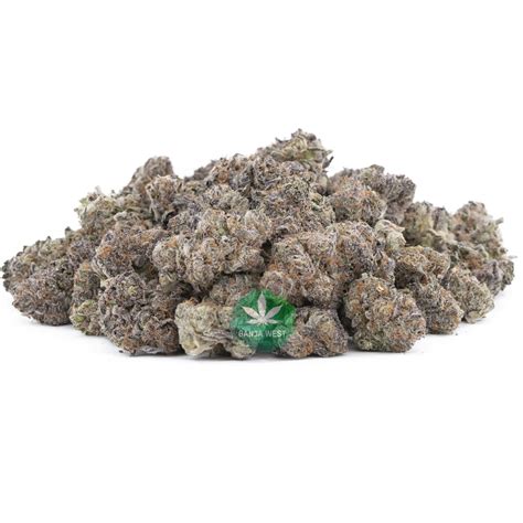 Wholesale Blueberry Muffin Craft Ganja West Online Dispensary Shop