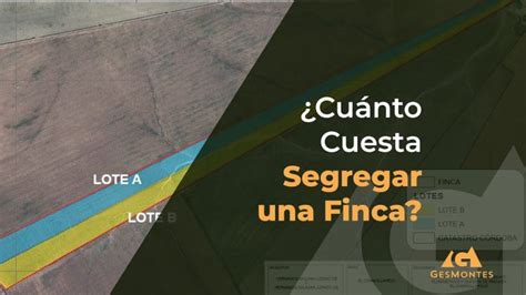 Cuanto Cuesta Inmatricular Una Finca 2025