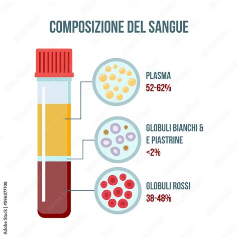 Composizione Del Sangue The Composition Of Blood Poster Red Blood