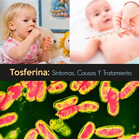 Tos ferina síntomas causas y tratamiento La Guía de las Vitaminas