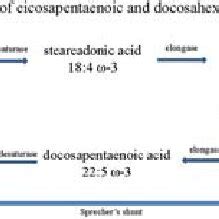 1 Synthesis in vivo of eicosapentaenoic and docosahexaenoic acids ...