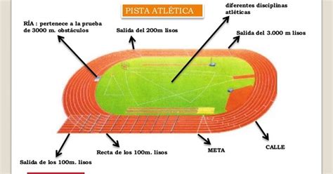 EducaciÓn FÍsica Nuestra SeÑora De La Victoria La Pista De Atletismo