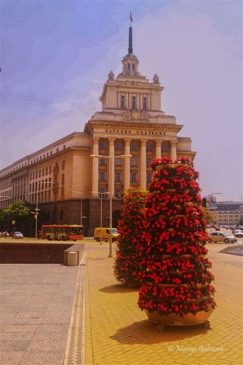 Ларго София (Largo, Sofia) 3 | Christmas tree, Sofia, Holiday