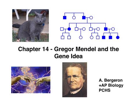 Pdf Chapter Gregor Mendel And The Gene Idea Notes Pdf