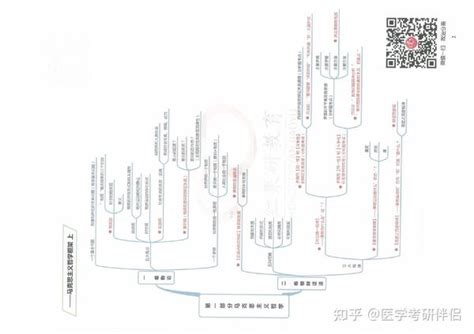 考研政治—思维导图超全的思维导图大汇总 知乎