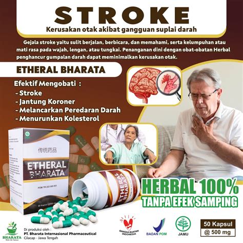 Jual Obat Stroke Ringan Obat Stroke Menahun Obat Stroke Sebelah