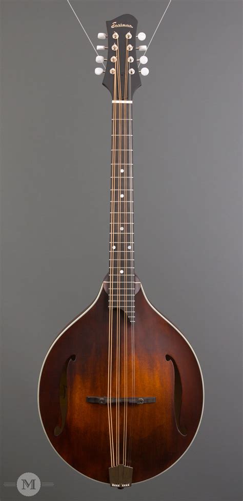 Tuning A Mandola Like An Octave Mandolin Pros And Cons Scionav