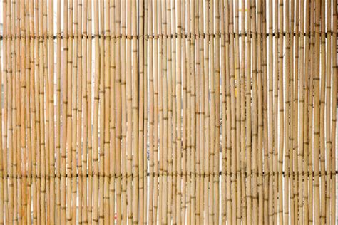 Seamless Bamboo Texture