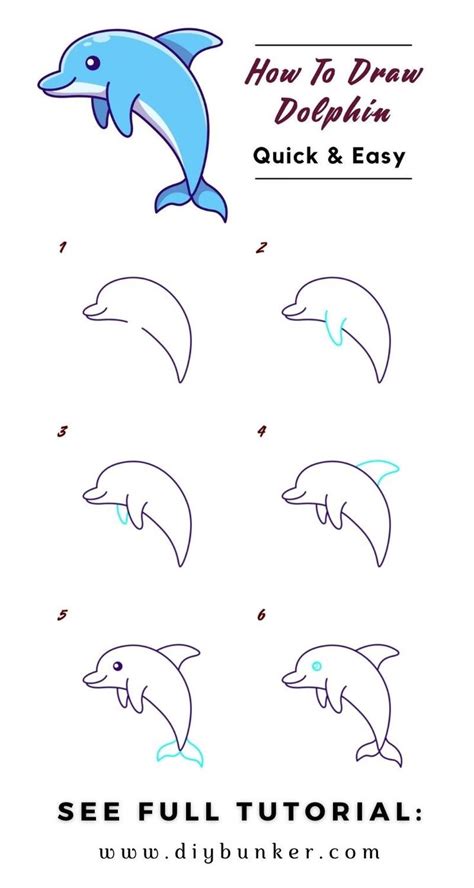 How To Draw Dolphins Step By Step Instructions For Children And Adults