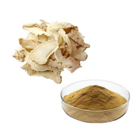 10 1 Water Soluble Angelica Sinensis Powder Angelica Root China Angelica Extract And Angelica