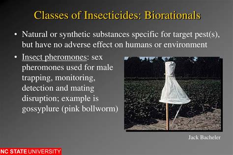 Ppt Insecticides Powerpoint Presentation Free Download Id1207691