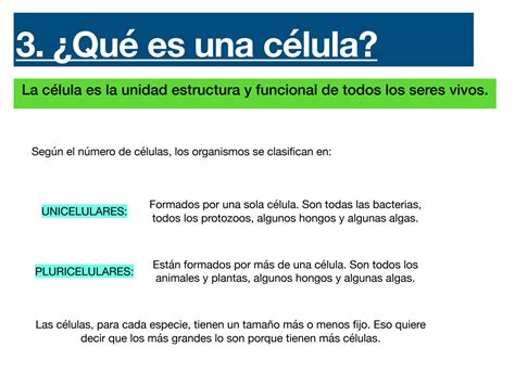 Solution Los Seres Vivos Punto Las C Lulas Studypool